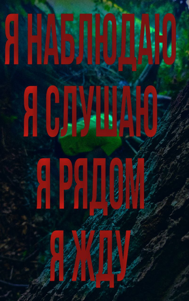 Жуткое изображение леса